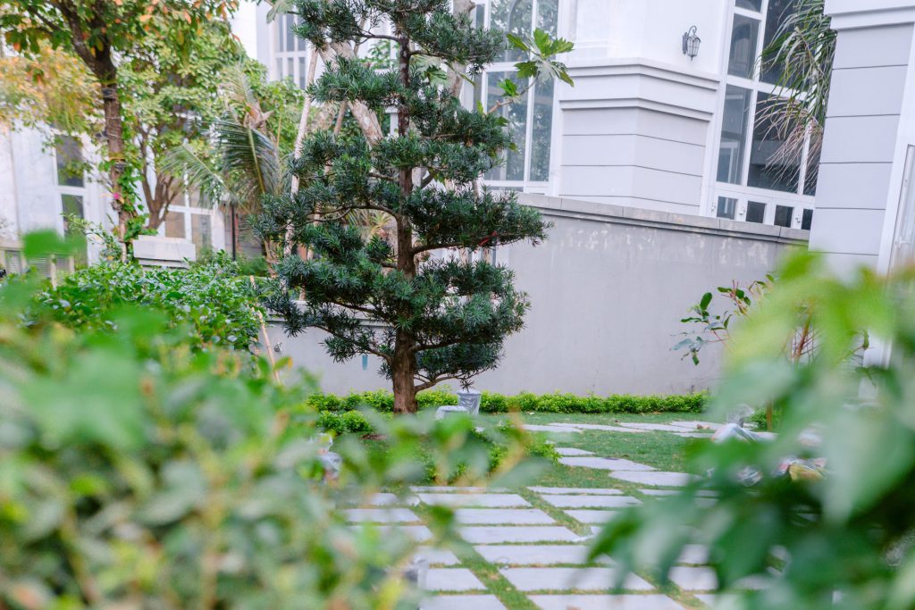 Biệt thự tân cổ điển · Anh Hải, TP. Thủ Đức